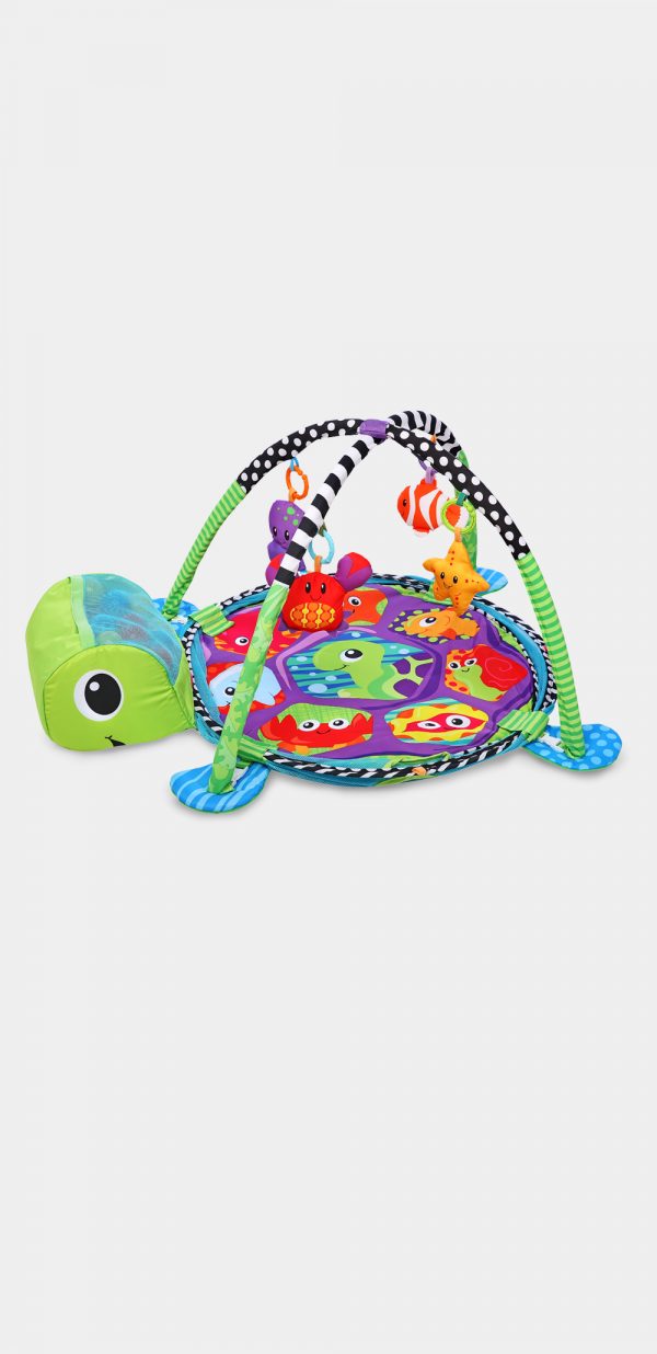 Gimnasios Didácticos